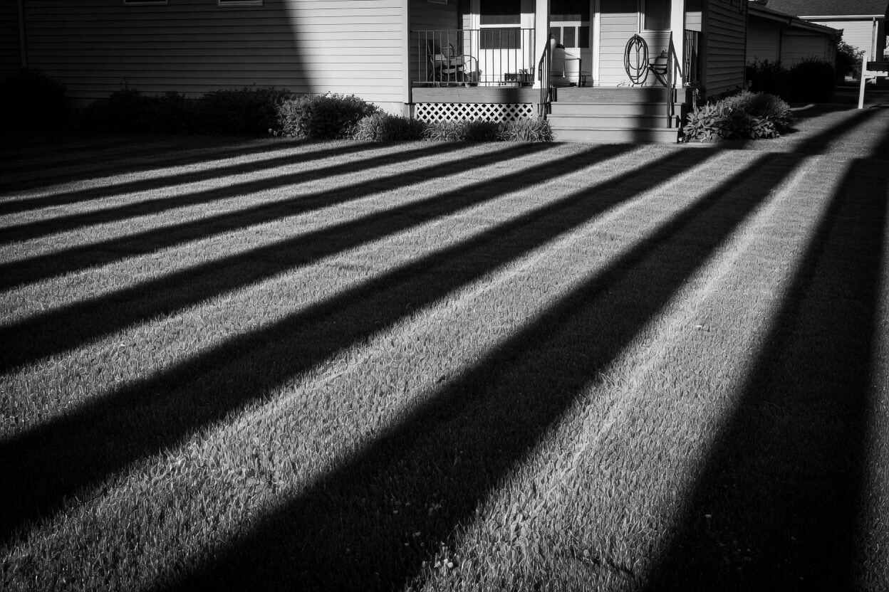 A landscaper working on a residential garden.